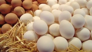 فوائد و اضرار البيض البلدي الني على الريق